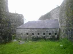 shannonbridge cap-2014.jpg